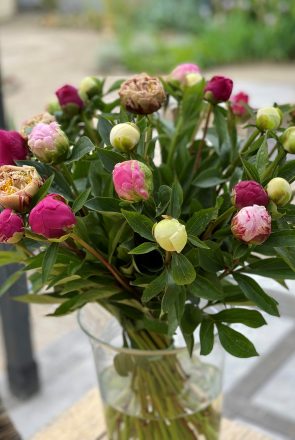 Boeket gemengde pioenrozen
